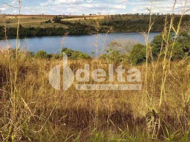 Sítio e chácara venda em Região Geográfica Imediata de Uberlândia, Oliveira Fortes