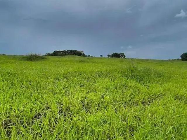 Sítio e chácara venda em Região Geográfica Imediata de Uberlândia, Oliveira Fortes