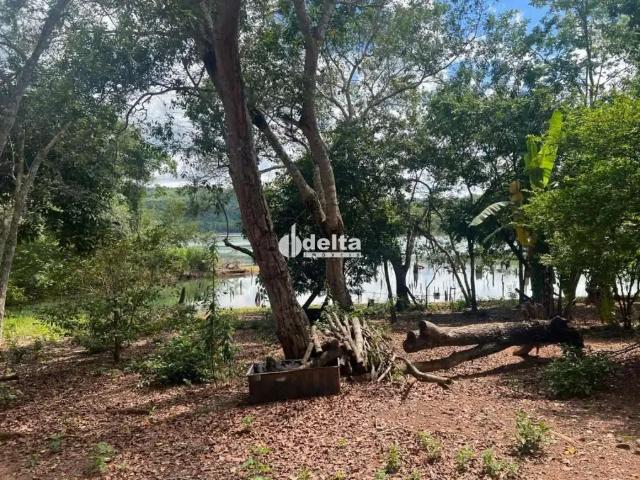 Sítio e chácara venda em Região Geográfica Imediata de Uberlândia, Oliveira Fortes