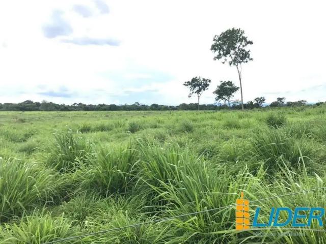 Sítio e chácara venda em Região Geográfica Imediata de Uberlândia, Oliveira Fortes