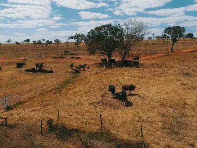 Sítio e chácara venda em Região Geográfica Imediata de Uberlândia, Oliveira Fortes