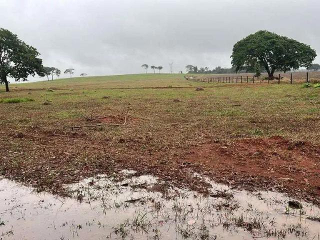 Sítio e chácara venda em Região Geográfica Imediata de Uberlândia, Oliveira Fortes