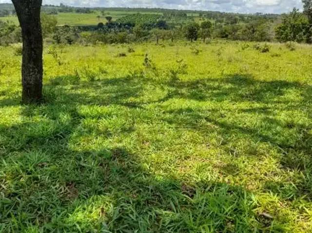 Sítio e chácara venda em Região Geográfica Imediata de Uberlândia, Oliveira Fortes