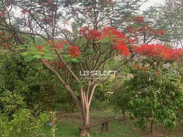 Sítio e chácara venda em Região Geográfica Imediata de Uberlândia, Oliveira Fortes