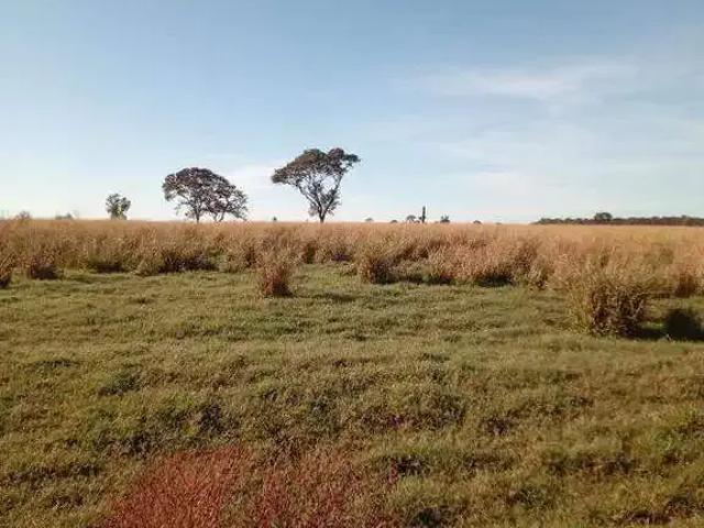 Sítio e chácara venda em Região Geográfica Imediata de Uberlândia, Oliveira Fortes