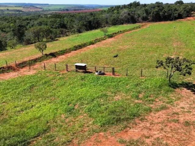 Sítio e chácara venda em Região Geográfica Imediata de Uberlândia, Oliveira Fortes