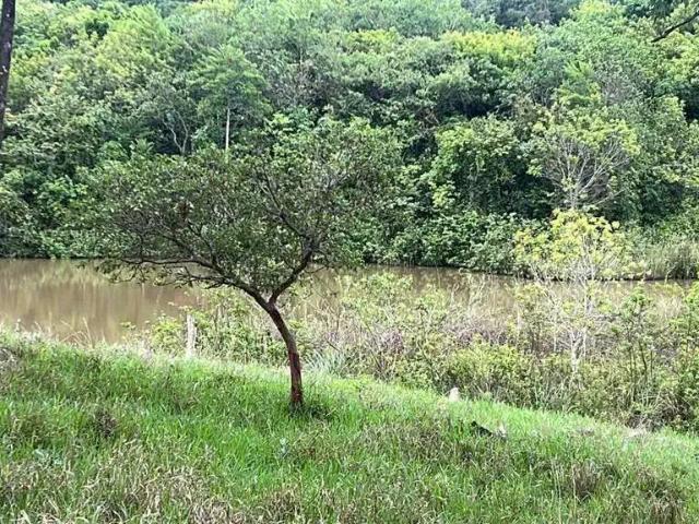 Sítio e chácara venda em Região Geográfica Imediata de Uberlândia, Oliveira Fortes