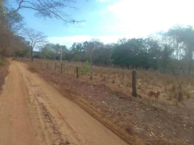 Sítio e chácara venda em Região Geográfica Imediata de Uberlândia, Oliveira Fortes