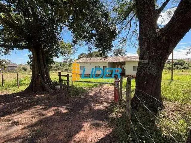 Sítio e chácara venda em Região Geográfica Imediata de Uberlândia, Oliveira Fortes