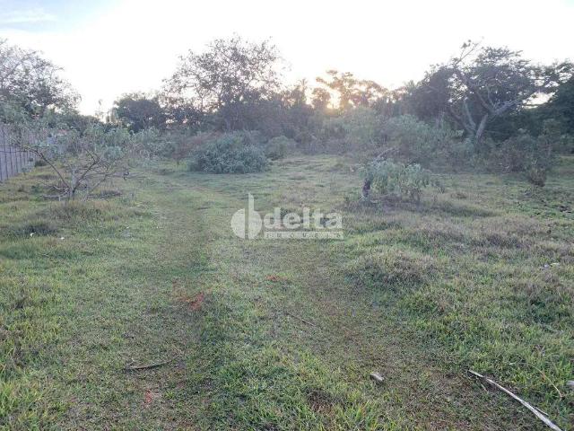Sítio e chácara venda em Região Geográfica Imediata de Uberlândia, Oliveira Fortes