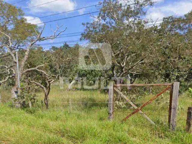 Sítio e chácara venda em Região Geográfica Imediata de Uberlândia, Oliveira Fortes