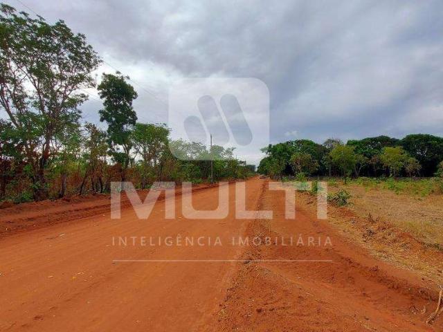 Sítio e chácara venda em Região Geográfica Imediata de Uberlândia, Oliveira Fortes