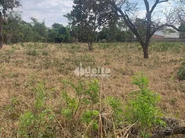 Sítio e chácara venda em Chácaras Bonanza, Uberlândia