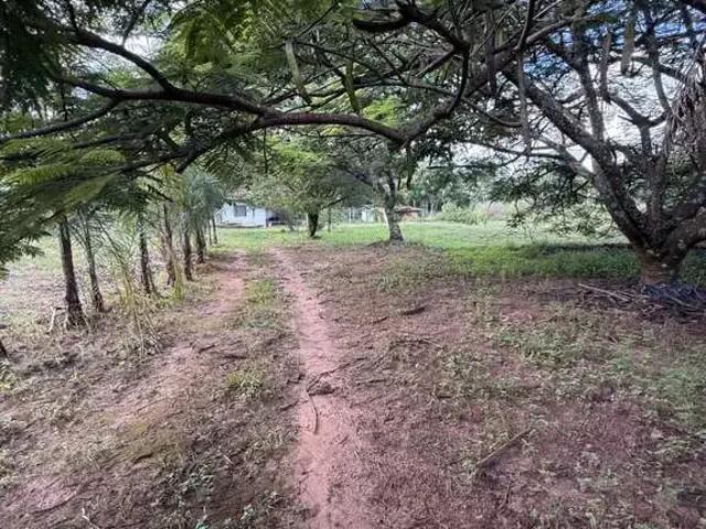 Sítio e chácara venda em Região Geográfica Imediata de Uberlândia, Oliveira Fortes