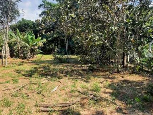 Sítio e chácara venda em Região Geográfica Imediata de Uberlândia, Oliveira Fortes