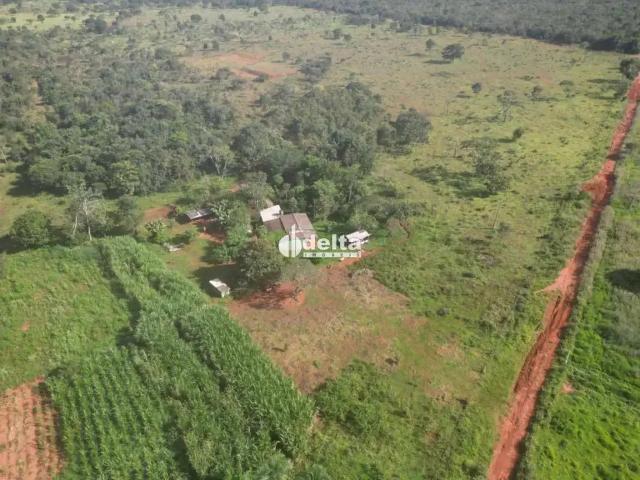 Sítio e chácara venda em Região Geográfica Imediata de Uberlândia, Oliveira Fortes