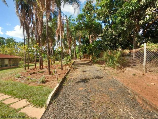 Sítio e chácara venda em Região Geográfica Imediata de Uberlândia, Oliveira Fortes