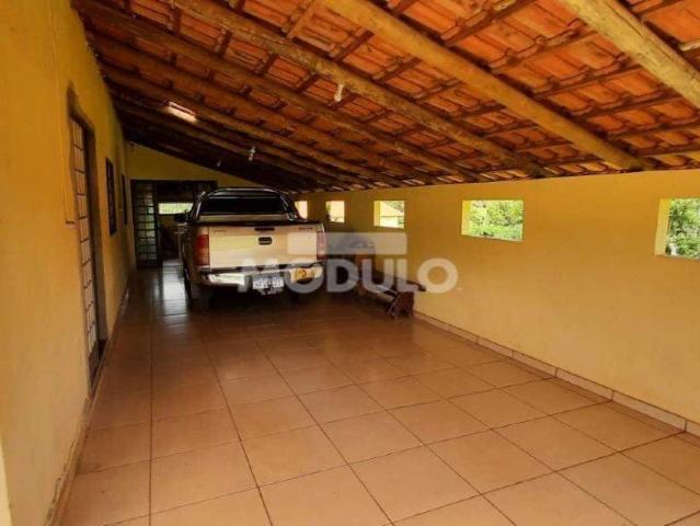 Sítio e chácara venda em Panorama, Uberlândia