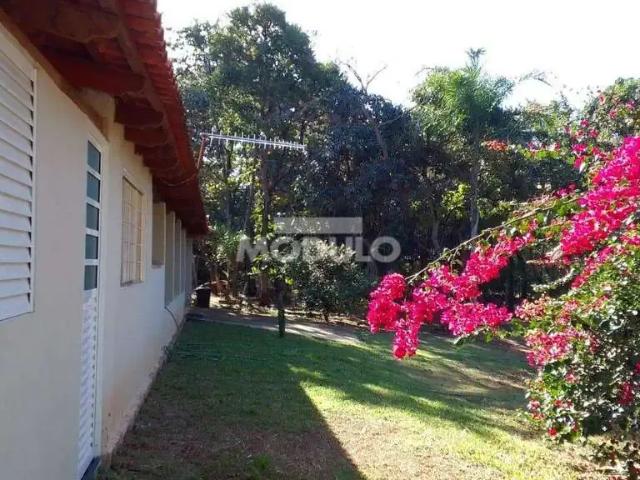 Sítio e chácara venda em Região Geográfica Imediata de Uberlândia, Oliveira Fortes