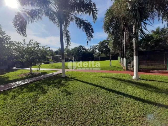 Sítio e chácara venda em Região Geográfica Imediata de Uberlândia, Oliveira Fortes