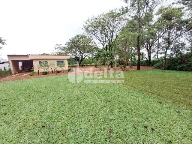 Sítio e chácara venda em Região Geográfica Imediata de Uberlândia, Oliveira Fortes
