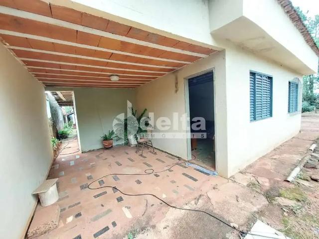 Sítio e chácara venda em Região Geográfica Imediata de Uberlândia, Oliveira Fortes