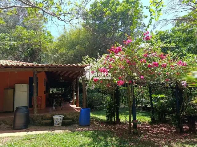 Sítio e chácara venda em Região Geográfica Imediata de Uberlândia, Oliveira Fortes