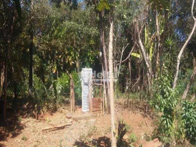 Sítio e chácara venda em Região Geográfica Imediata de Uberlândia, Oliveira Fortes