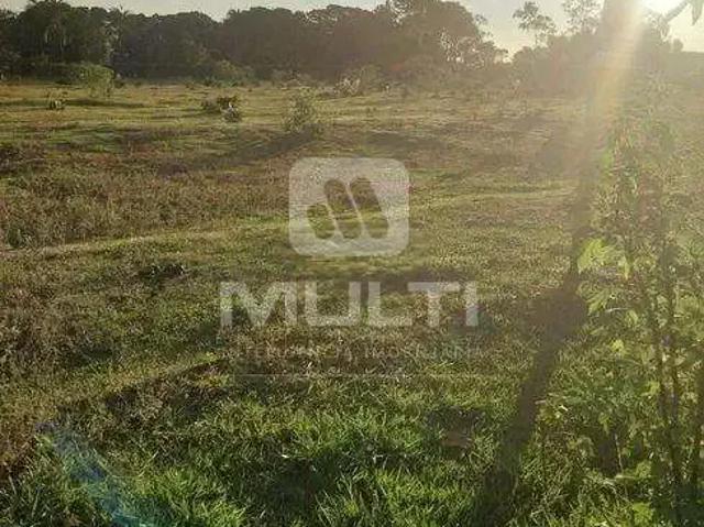 Sítio e chácara venda em Região Geográfica Imediata de Uberlândia, Oliveira Fortes