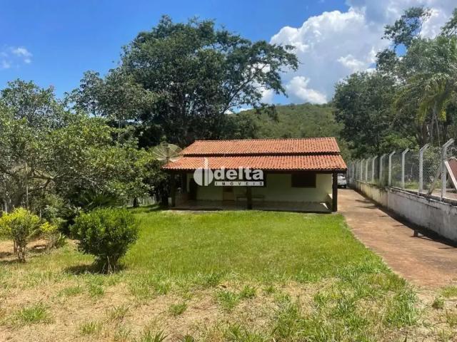 Sítio e chácara venda em Região Geográfica Imediata de Uberlândia, Oliveira Fortes