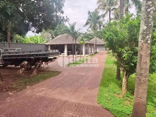 Sítio e chácara venda em Região Geográfica Imediata de Uberlândia, Oliveira Fortes