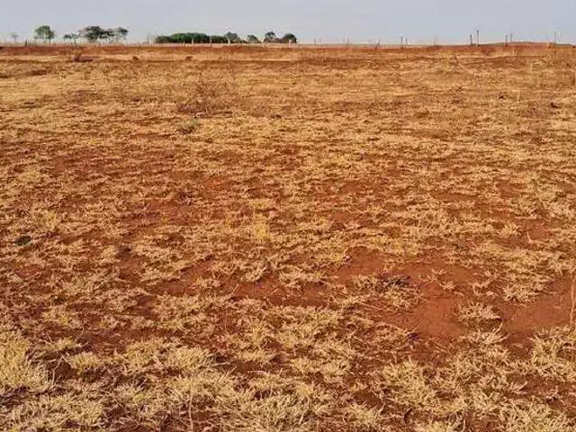 Sítio e chácara venda em Região Geográfica Imediata de Uberlândia, Oliveira Fortes