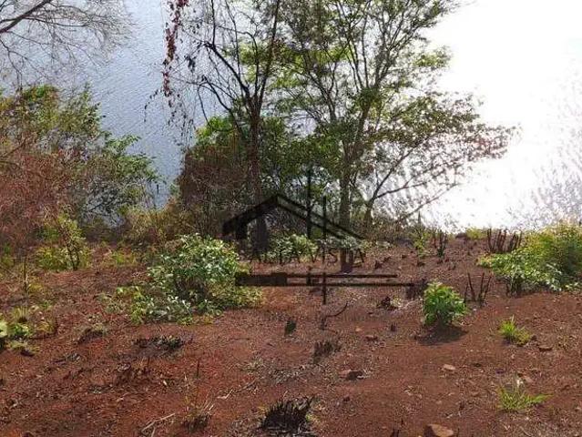 Sítio e chácara venda em Região Geográfica Imediata de Uberlândia, Oliveira Fortes