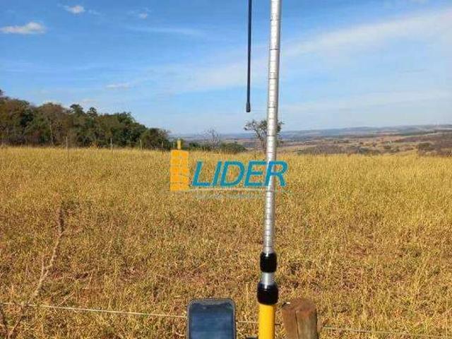 Sítio e chácara venda em Setor Norte, Uberlândia
