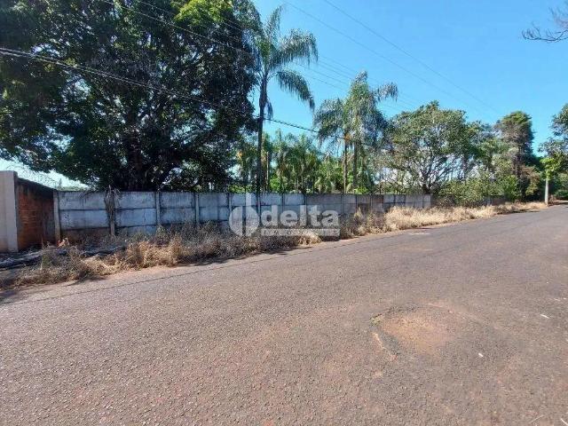 Sítio e chácara venda em Região Geográfica Imediata de Uberlândia, Oliveira Fortes