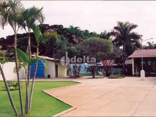 Sítio e chácara venda em Região Geográfica Imediata de Uberlândia, Oliveira Fortes