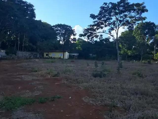Sítio e chácara venda em Região Geográfica Imediata de Uberlândia, Oliveira Fortes