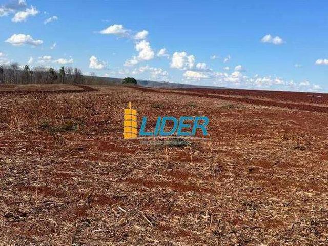 Sítio e chácara venda em Martinésia, Uberlândia