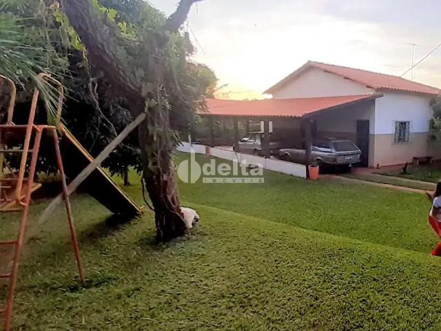 Sítio e chácara venda em Região Geográfica Imediata de Uberlândia, Oliveira Fortes