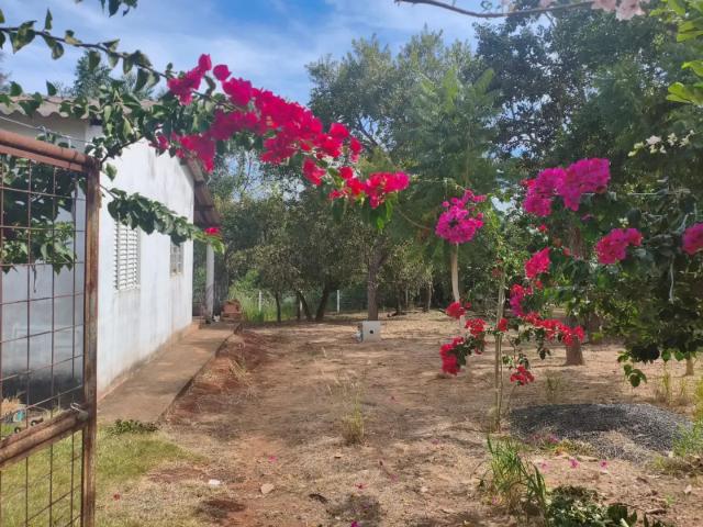 Sítio e chácara venda em Região Geográfica Imediata de Uberlândia, Oliveira Fortes