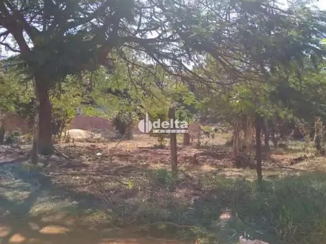 Sítio e chácara venda em Região Geográfica Imediata de Uberlândia, Oliveira Fortes