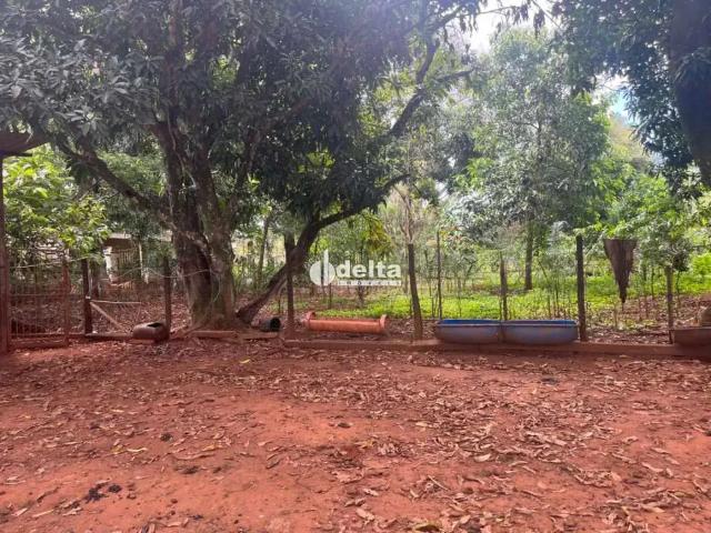 Sítio e chácara venda em Região Geográfica Imediata de Uberlândia, Oliveira Fortes