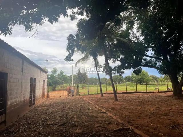 Sítio e chácara venda em Região Geográfica Imediata de Uberlândia, Oliveira Fortes