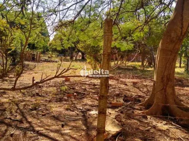 Sítio e chácara venda em Região Geográfica Imediata de Uberlândia, Oliveira Fortes