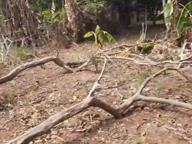 Sítio e chácara venda em Região Geográfica Imediata de Uberlândia, Oliveira Fortes