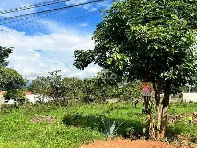 Sítio e chácara venda em Região Geográfica Imediata de Uberlândia, Oliveira Fortes