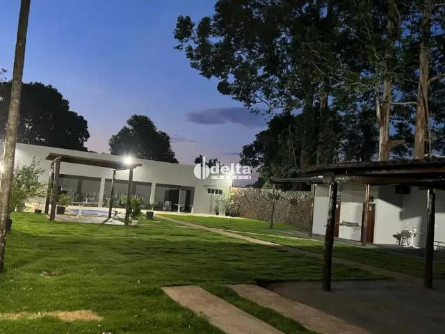 Sítio e chácara venda em Região Geográfica Imediata de Uberlândia, Oliveira Fortes