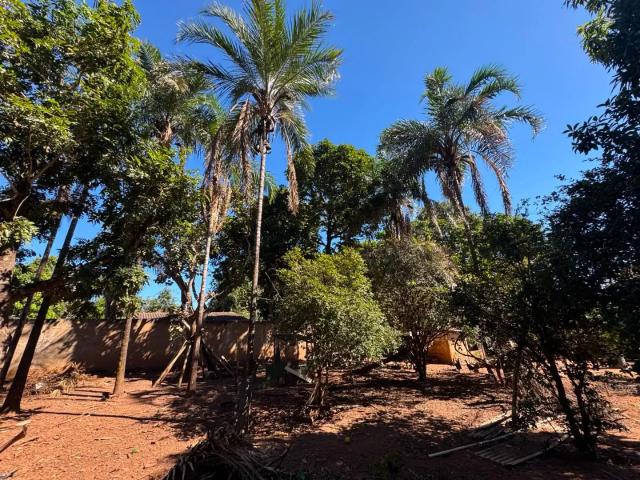 Sítio e chácara venda em Região Geográfica Imediata de Uberlândia, Oliveira Fortes