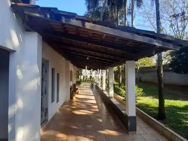 Sítio e chácara venda em Região Geográfica Imediata de Uberlândia, Oliveira Fortes