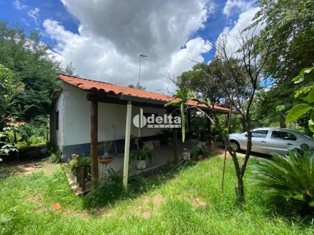 Sítio e chácara venda em Região Geográfica Imediata de Uberlândia, Oliveira Fortes